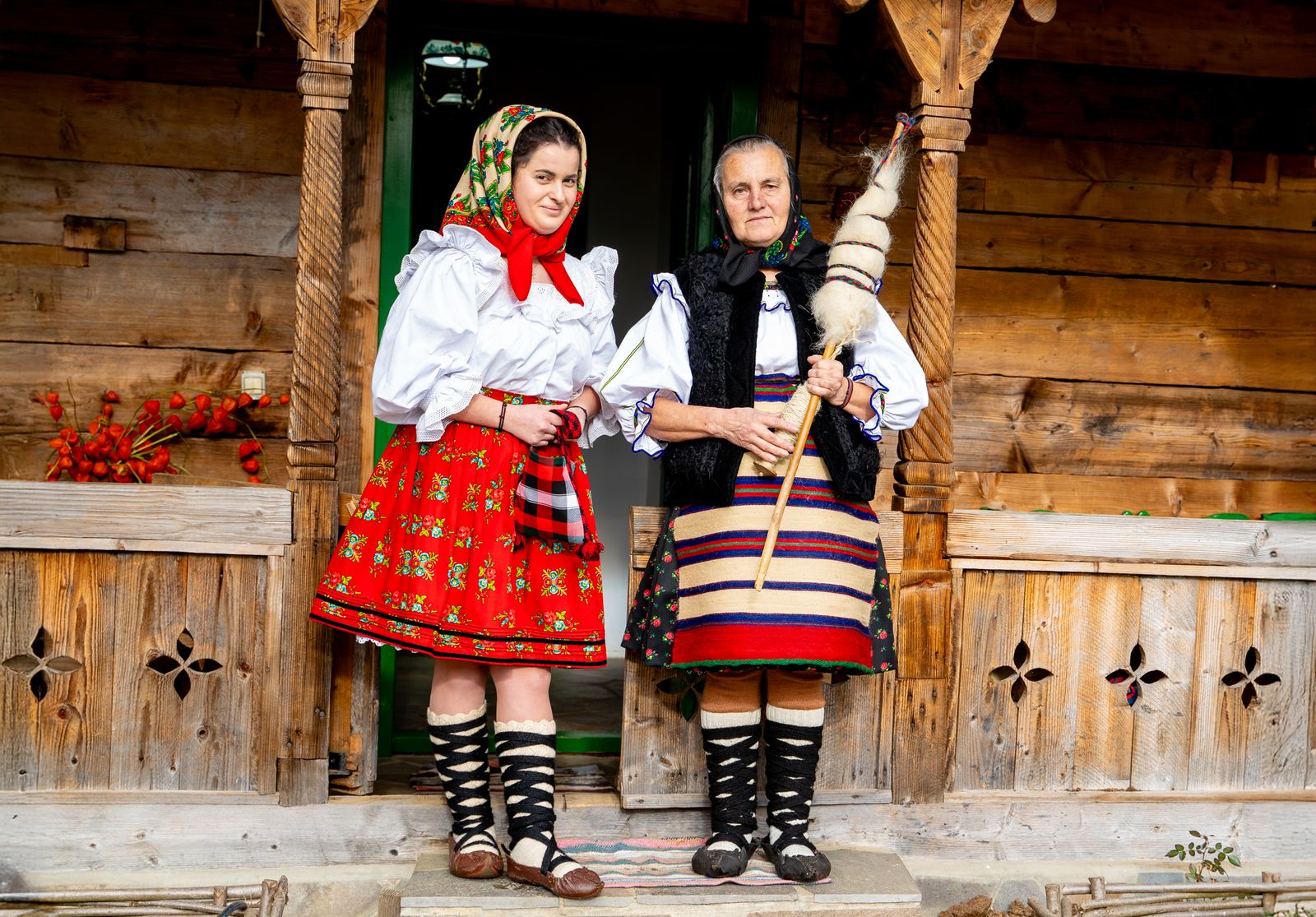Proiect contemporan